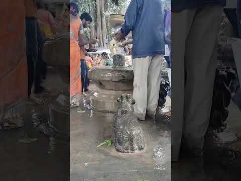 Lord shiva🙏#lordshiva #shiva #shortvideo #trending #shorts #trending #karthikamasam