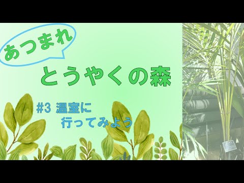 あつまれとうやくの森#3