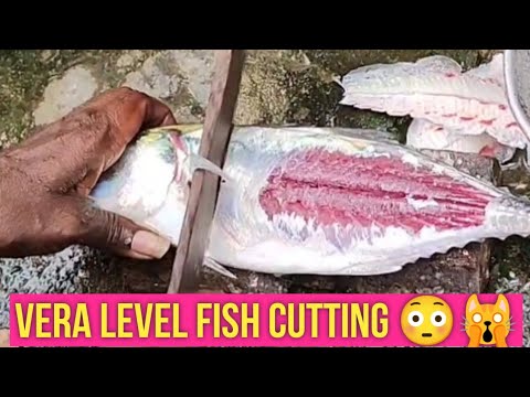 how to cut the fish , fish cutting skill Vera level fish 🐟 cutting 😳🙀