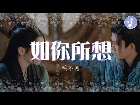 毛不易 - 如你所想【電視劇《與君初相識 The Blue Whisper》愛情主題曲】「願你似月光 無痛也無傷」♪【動態歌詞】♪