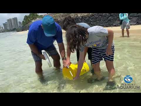 Earth Day Fish Release