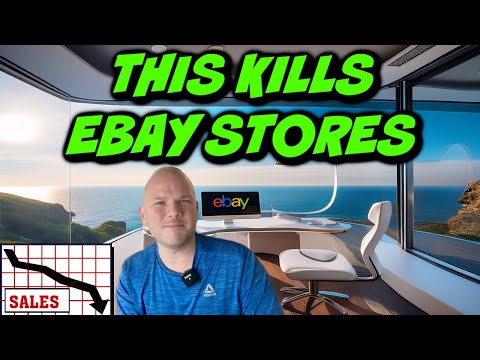 Biggest Ebay Store Killer in 2024