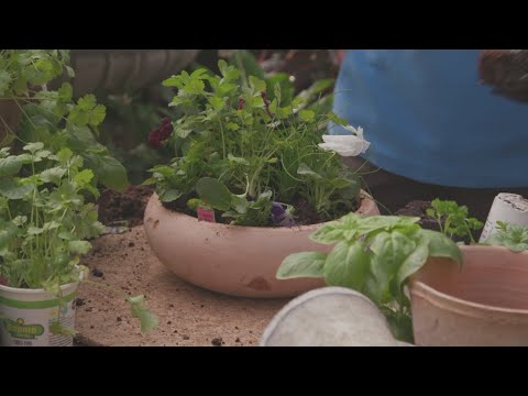 Edible Centerpieces with Osuna Nursery