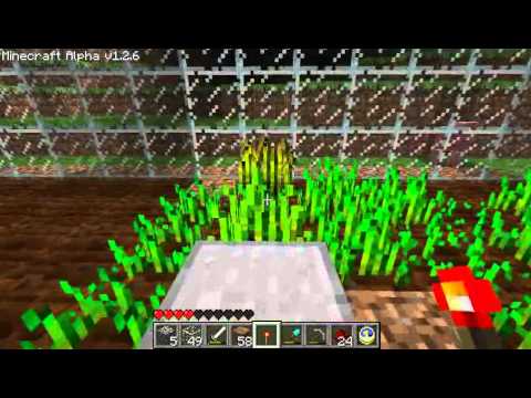 Automatic Cactus Farm In Minecraft