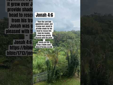 #jonah #prophet #christian #japan #okinawa #biblestudy #bibleverse #bibleverseoftheday