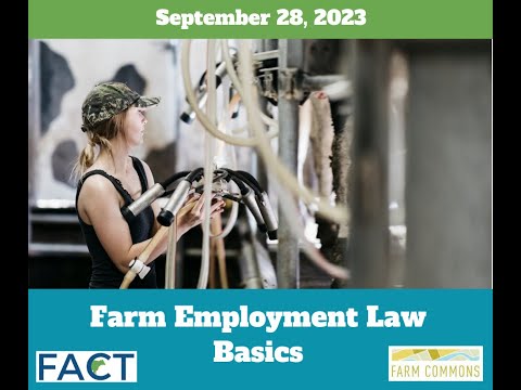 Employment Law Basics