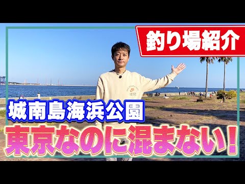 【城南島海浜公園】若洲海浜公園と同じ魚が釣れるのに全然混まない！連休中の3つの公園の混雑状況比較