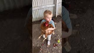 Quieros favorite joke! #shorts #newborn #cutebaby #parenting #chicken #funnyvideo