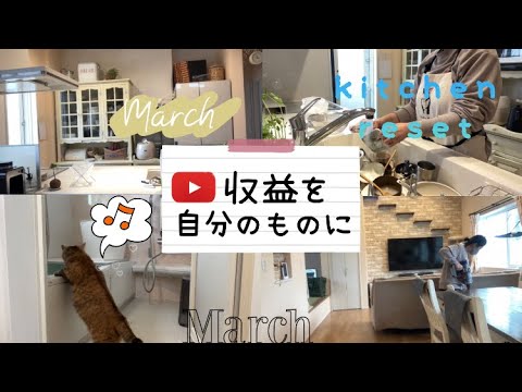 【中学生ママ】日曜日の家事動画🧹買い物/キッチンリセット/Youtubeの収益/かけ持ちの職探し/猫と暮らす