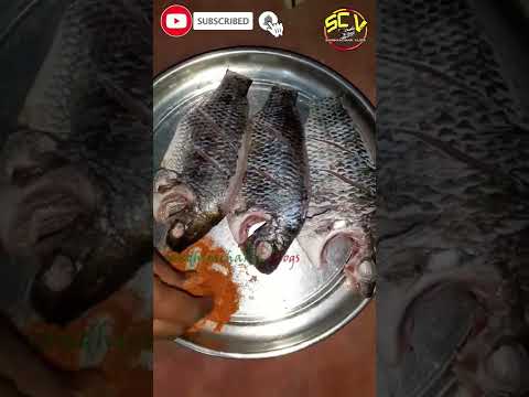 fish fry | fish fry in telugu| fish fry recipe | fish fry in hyderabad | sandhyachakri vlogs #shorts