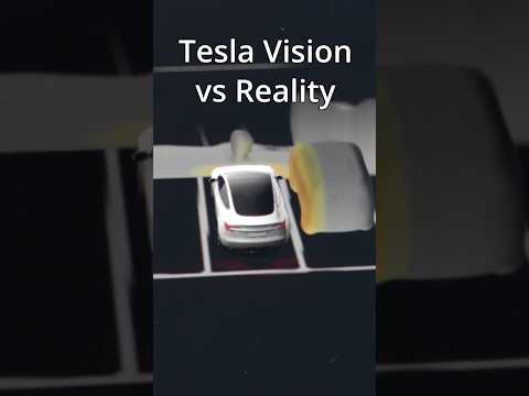 Tesla Vision VS Reality