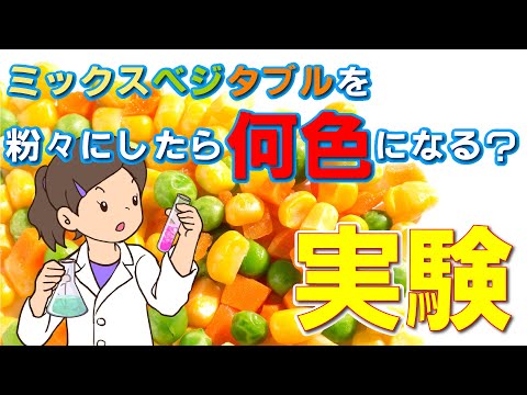 ミックスベジタブルを粉砕してみました！さて、何色になったでしょうか？