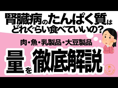 【管理栄養士がゆっくり解説】腎臓病たんぱく質制限のレシピでお困りの方必見！タンパク質量と食べる量の目安を管理栄養士が解説！