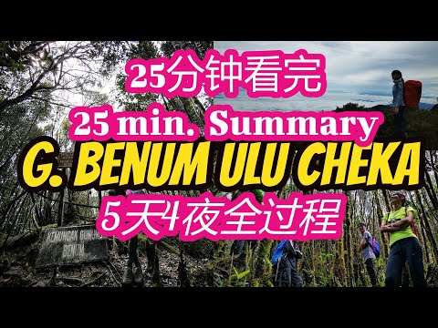 Gunung Benum Via Ulu Cheka Full Trail Summary 25分钟看完马来半岛第十高山全路程简介