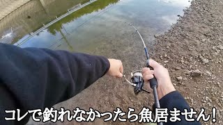 【冬のバス釣り】冬の最強の食わせはコレ！