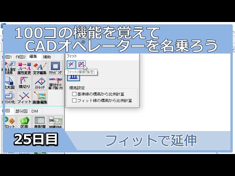 【ＣＡＤオペレーターを名乗りたい】フィットで延伸【１００日チャレンジ】