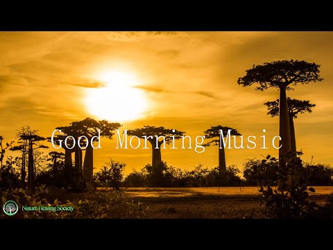 QUIET SOOTHING Morning Music To Wake Up With - Meditation & Relaxation Music 432Hz