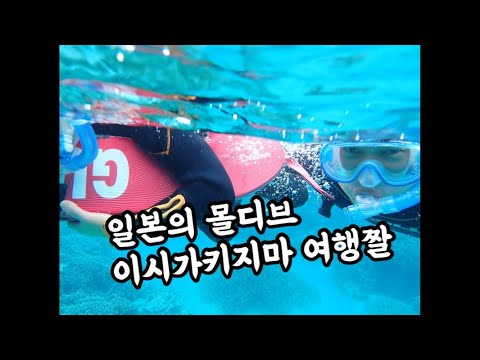 일본의 몰디브 이시가키지마(石垣島) 다녀왔습니다