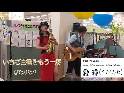 【いちご白書をもう一度 / バンバン 】Cover 第二回京田辺ミュージックストリート　IKEKITA Minoru様　Youtube切抜き