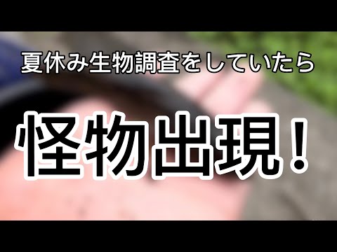 【夏休み企画】生物調査第二弾！化け物出現！？