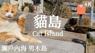 Ogijima Island｜Cat Island in the Seto Inland Sea｜Japan travel、Takamatsu