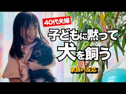 【サプライズ】三姉妹に内緒で犬を飼ってみたら反応が面白過ぎた（三女号泣）