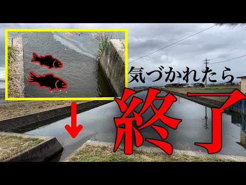 バレたら終わり！？流れ込みにいた天才君に『○○』見せると一発やん。