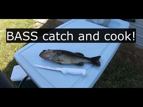 Bass catch and cook! Chilli lime fish! Bass fishing