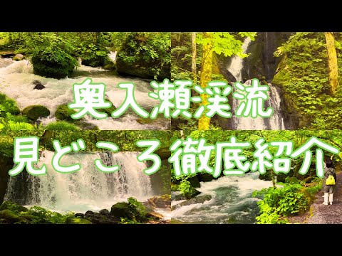 【青森観光】新緑の奥入瀬渓流　見どころを徹底紹介　撮影：2023年6月18日　阿修羅の流れ、雲井の滝、白糸の滝、銚子大滝ほか