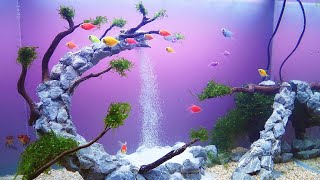 AMAZING WATERFALL AQUARIUM - Aquascape Waterfall Setup Step by Step Tutorial