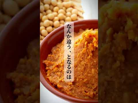 日本のキッチンで料理するときにこのネタ知ってると楽しいですよ菌が見える気がしますほら、そこにオリゼー君が#kurokurochef #雑学 #オリゼ #アスペルギリスオリゼー #菌 #国菌 #麹菌