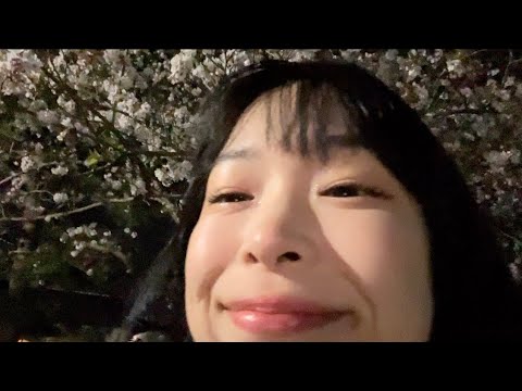 夜桜でも見ましょうかね