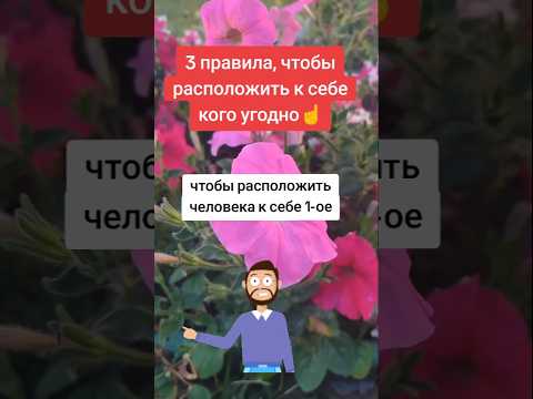 Три правила общения, чтобы расположить к себе человека☝️