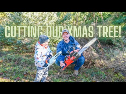 Cutting Down our 2022 Christmas tree with chainsaws