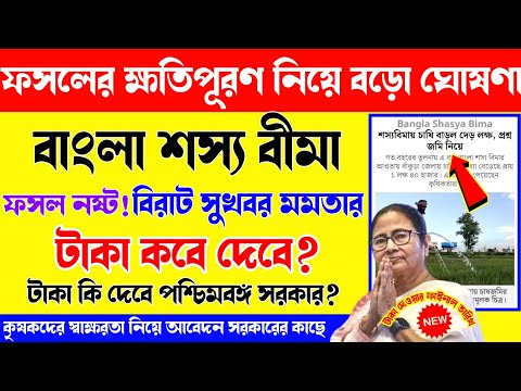 Bangla sosso bima taka kobe debe? Krisok bondhu taka kobe pabo? ফসলের ক্ষতিপূরণ টাকা কবে দেবে?