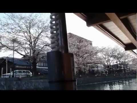 2012年京阪賞櫻(7)--京都岡崎疏水,溫帶國家之春