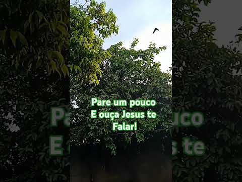 #jesus #reflexão #fé #oração #palavraprofetica #mensagem #mensagemdecristo