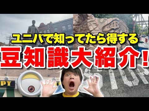 【9割が知らない】年300回以上ユニバ行く男のパーク豆知識ツアー!!【USJ】