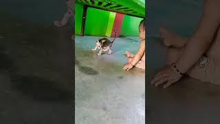 बिल्ली का छोटा बच्चे के साथ cute baby,🐱🐱🐱🐱🐱🐱😺😺😺😺