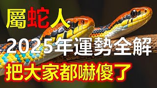 屬蛇人2025年12生肖運勢，預測十二生肖2025年生肖蛇運勢全解，在十二生肖中以其神秘感和頑強的性格而著稱。2025年是蛇年，對屬蛇人來說，這是一個特殊的年份——本命年#生肖運勢 #生肖 #十二生肖