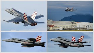 岐阜基地航空祭2024 F/A-18レガホの帰投が凄すぎた！