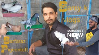 Pigeon Lovers | Sarfaraz Pigeonloft | Andheri west Versova | Samy k Vlogs | Pigeon life | Passion