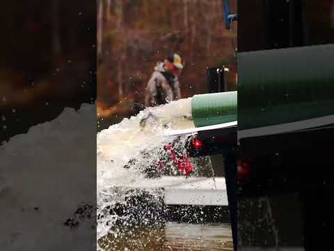 Stocking trout in Watauga Lake! #shorts #trout