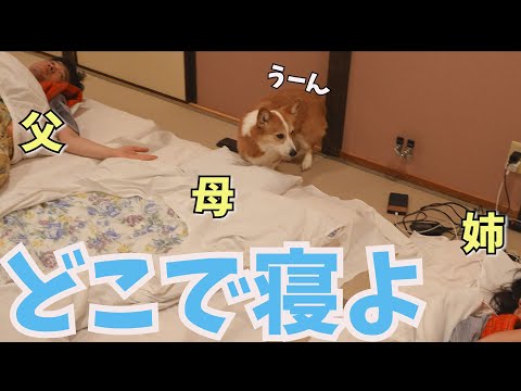 宿で川の字に布団を敷いたら愛犬はどこで寝るでしょーか？