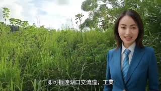 竹北房屋專家王孝榮：0975086727在地生活，熱誠服務，行情諮詢，買屋賣屋，歡迎來電