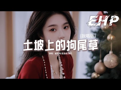 盧潤澤/歪歪超/宮巴 - 土坡上的狗尾草 (說唱版)『你也搶過吃剩的骨頭，你也睡過下雨的街頭，我還沒能給你好生活，哎呀你咋走得我莫法留。』【動態歌詞MV】