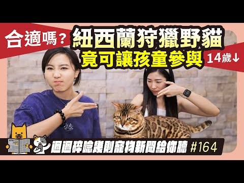 EP. 164 紐西蘭狩獵野貓竟可讓孩童參與，這樣合適嗎？｜毛爸媽碎碎唸