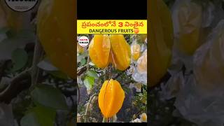 3 Most Dangerous Fruits 😱|🔥 intresting facts in telugu|#shorts #facts #telugu