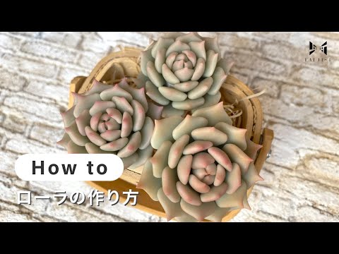 【樹脂粘土・多肉植物】 ローラの作り方 | poncotage