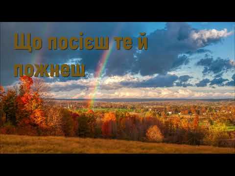 Що посієш те й пожнеш - Християнська притча #притчі #християнськіпритчі #щопосієштейпожнеш